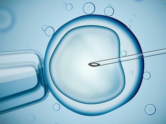 人工胎儿可以选择性别吗附详细介绍